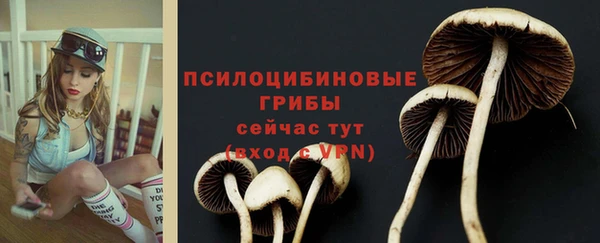 ALPHA PVP Балабаново